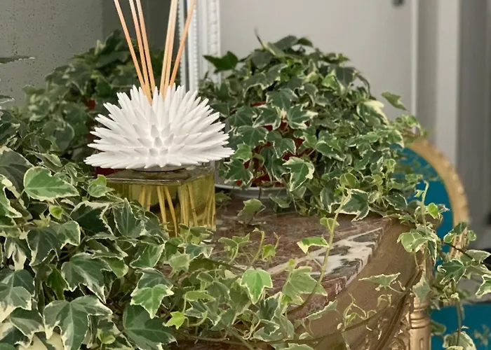 Πανσιόν Cettina Boutique