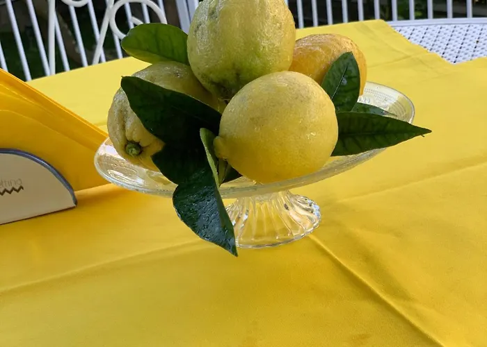 Cettina Boutique Πανσιόν 4*